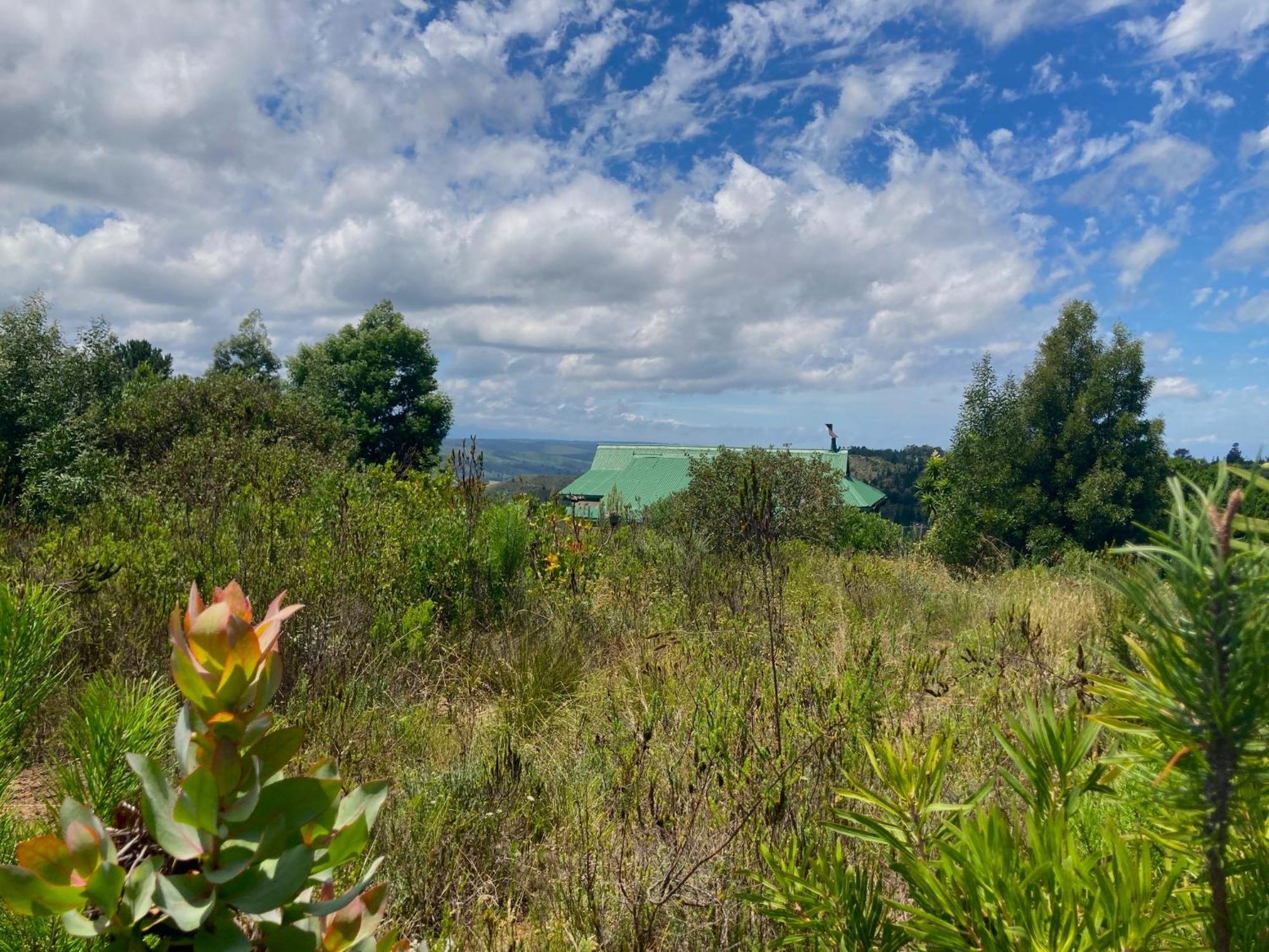Protea Wilds Retreat Hotel Harkerville Exterior photo