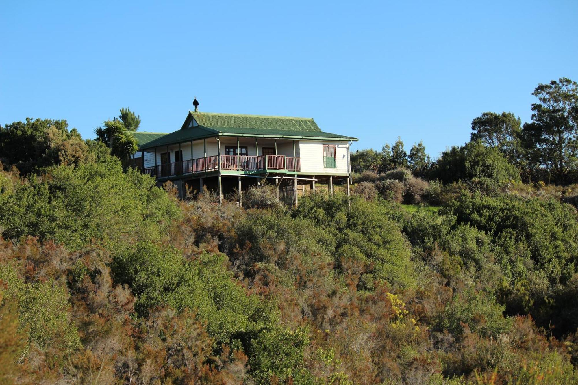 Protea Wilds Retreat Hotel Harkerville Exterior photo